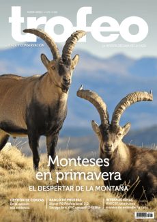 MONTESES EN PRIMAVERA